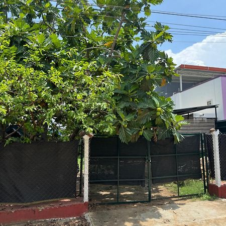 Hotel The Lazy Palm Shack Coimbatore Zewnętrze zdjęcie