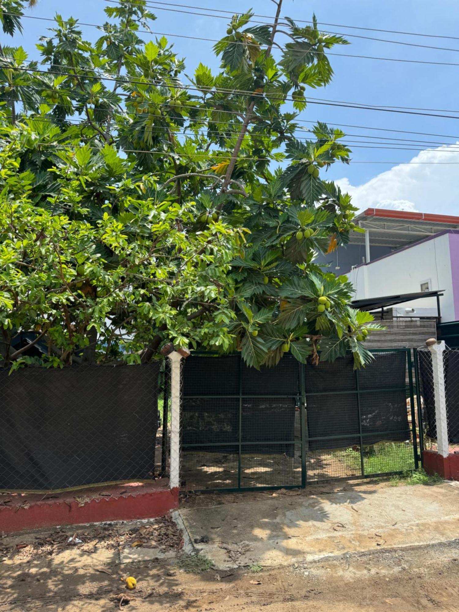 Hotel The Lazy Palm Shack Coimbatore Zewnętrze zdjęcie