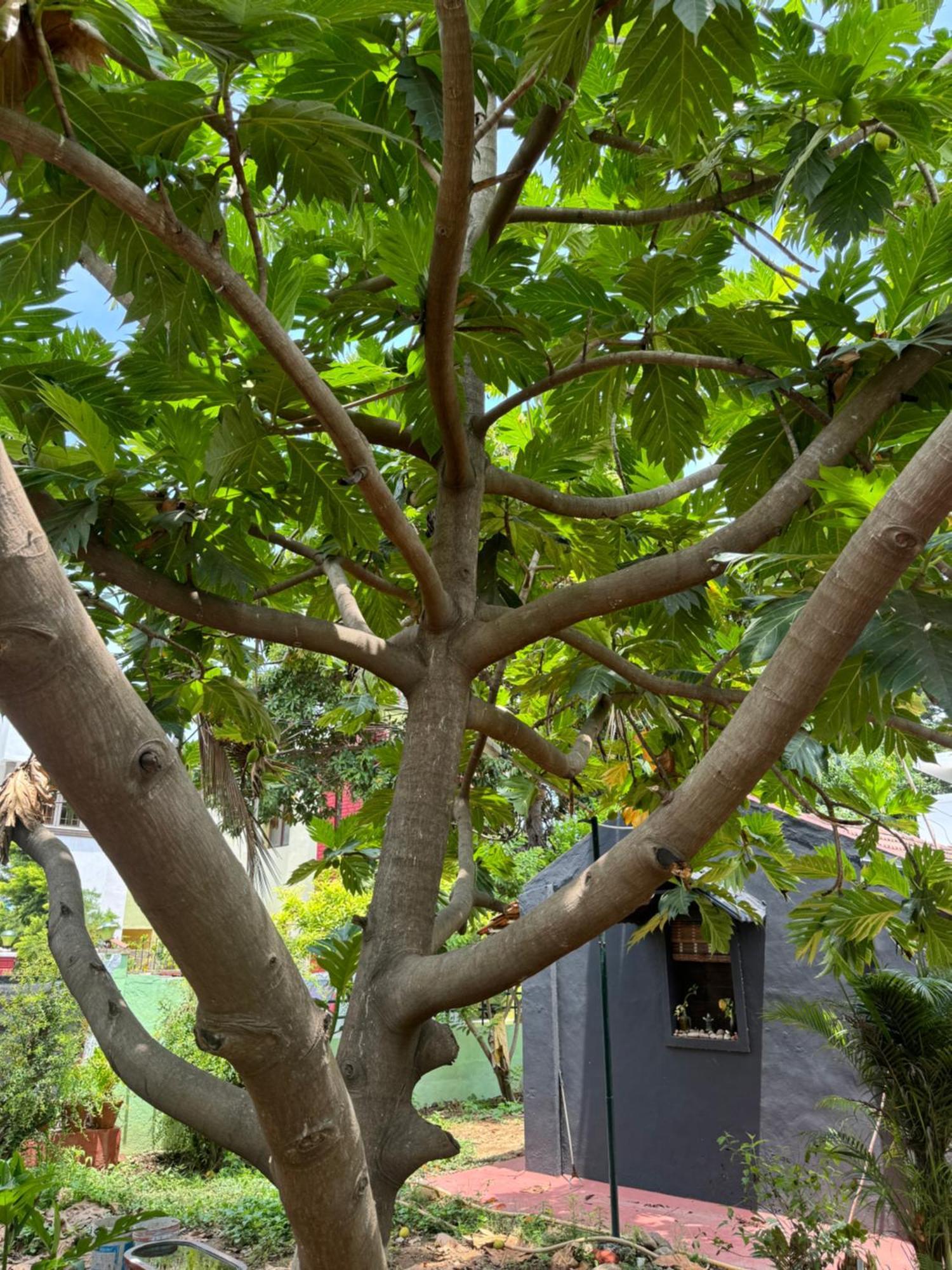 Hotel The Lazy Palm Shack Coimbatore Zewnętrze zdjęcie